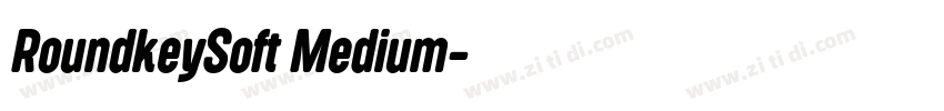 RoundkeySoft Medium字体转换